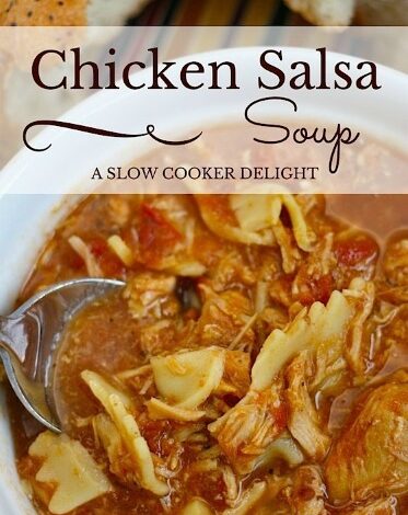 Slow Cooker Chicken Salsa Soup Slow Cooker Chicken Salsa Soup