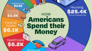 Infographic: “Visualizing How Americans Spend Their Money”
