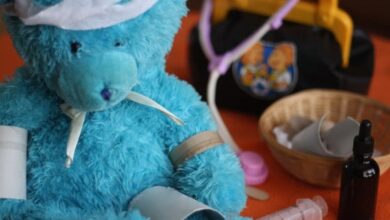 Animal Hospital Pretend Play Idea for Preschoolers