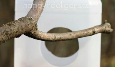 Milk Jug Bird Feeder for Kids to Make