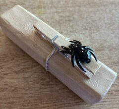 Joyful Learning in the Early Years: Spider Catapults
