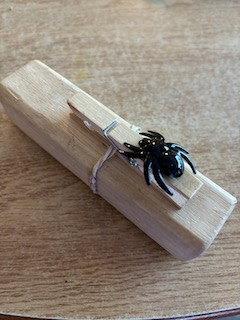 Joyful Learning in the Early Years: Spider Catapults Joyful Learning in the Early Years: Spider Catapults