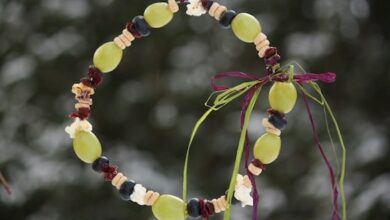 Homemade Bird Feeder with Fruits and Grains Homemade Bird Feeder with Fruits and Grains