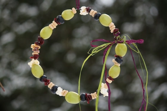 Homemade Bird Feeder with Fruits and Grains Homemade Bird Feeder with Fruits and Grains