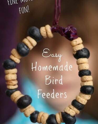 Bird Feeders made with cheerios and berries