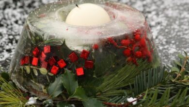 ice moulds – happy hooligans ice moulds – happy hooligans