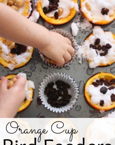 Simple Orange Feeders for the Backyard