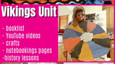 Viking Unit – Adventures in a Messy Life