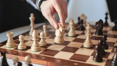 The Dead Horse Theory: 5 Signs To Recognize Ineffective Training