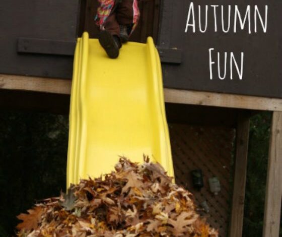 Make a Leaf Slide in your Backyard