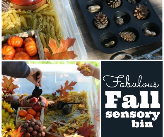 Fall Sensory Bin – Happy Hooligans