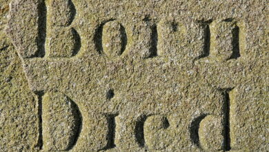 Infographic: “Global Life Expectancy: Closing the Gap”