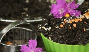 Mud Pie Activity with Expired Pantry Items Mud Pie Activity with Expired Pantry Items