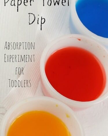 Water Absorption Experiment for Preschoolers