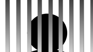 Two Important Infographics About Prison Populations