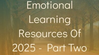 The Best Social Emotional Learning Resources Of 2025 – Part Two The Best Social Emotional Learning Resources Of 2025 – Part Two