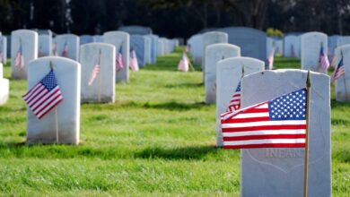 Veterans Day Is Coming Up – Here Are Teaching & Learning Resources
