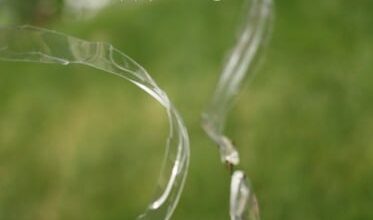 Water Bottle Whirligig Ornaments – Happy Hooligans Water Bottle Whirligig Ornaments – Happy Hooligans