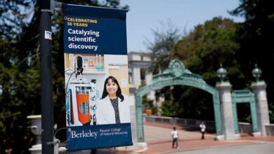 How 2025 Changed Research and What’s Ahead