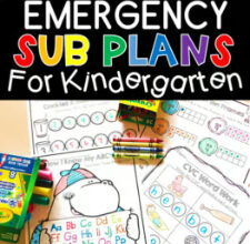 Emergency Sub Plans for Teachers: How to Be Prepared for Anything Emergency Sub Plans for Teachers: How to Be Prepared for Anything