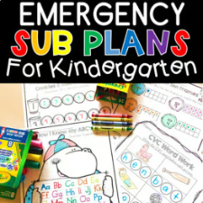 Emergency Sub Plans for Teachers: How to Be Prepared for Anything