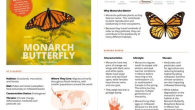 300+ Amazing Animal Facts for Kids