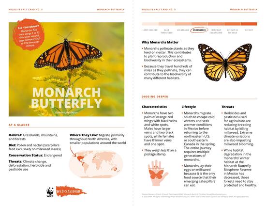 300+ Amazing Animal Facts for Kids 300+ Amazing Animal Facts for Kids