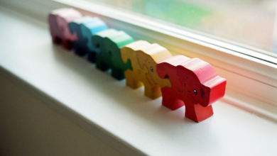 A Look Back: The Elephant In The Room In The Talent vs. Practice Debate