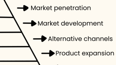 Global Expansion Strategies For AI Companies Global Expansion Strategies For AI Companies