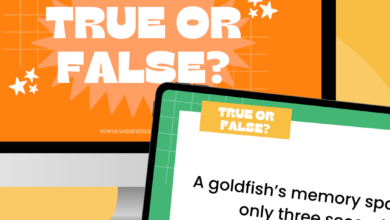 160 True or False Questions for Kids (With Answers)