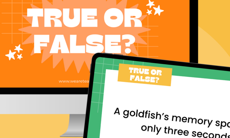 160 True or False Questions for Kids (With Answers)