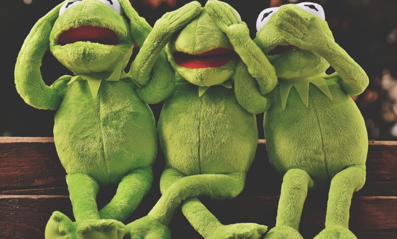 I Just Don’t Understand How Some Major Education Organizations Cannot Speak Out Against Trump Administration Actions I Just Don’t Understand How Some Major Education Organizations Cannot Speak Out Against Trump Administration Actions