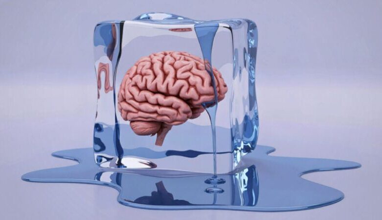 Learners In Freeze Response: Everything You Need To Know Learners In Freeze Response: Everything You Need To Know