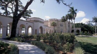 Can Embattled Women’s and Gender Studies Programs Survive?