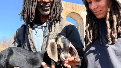 VSU Terminates 6 Professors Without Due Process VSU Terminates 6 Professors Without Due Process