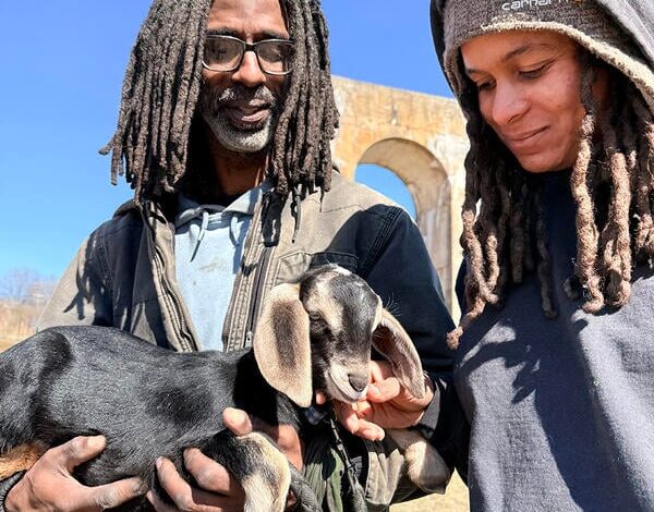 VSU Terminates 6 Professors Without Due Process VSU Terminates 6 Professors Without Due Process