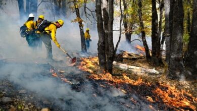 The Fight Over Community College Bachelor’s Degrees