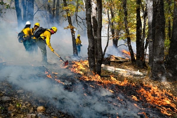 The Fight Over Community College Bachelor’s Degrees The Fight Over Community College Bachelor’s Degrees