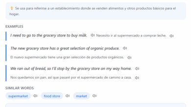 “Vocab.top” Seems Like A Particularly Good Multilingual Dictionary