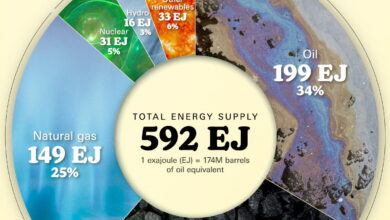 Infographic: “Chart: What Powered the World in 2024?”