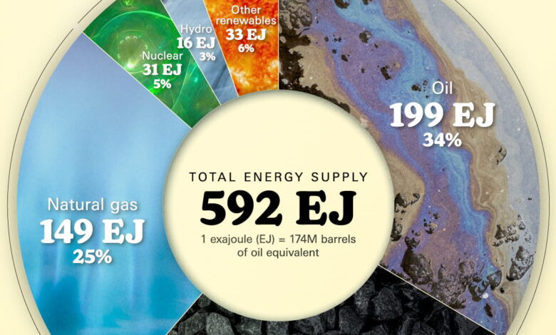 Infographic: “Chart: What Powered the World in 2024?”