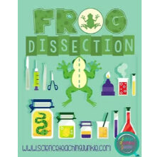 6 Dissection Lab Resources for High School