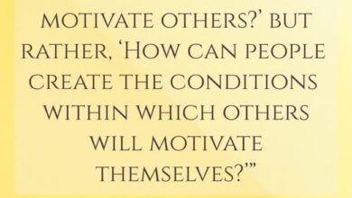 Edward Deci, Researcher & Developer Of Many Strategies On Creating The Conditions For Intrinsic Motivation, Has Died