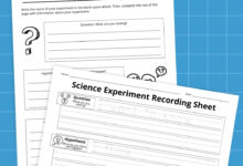 30 Creative Plant Cell Project Ideas To Try This Year