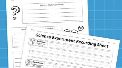 30 Creative Plant Cell Project Ideas To Try This Year 30 Creative Plant Cell Project Ideas To Try This Year