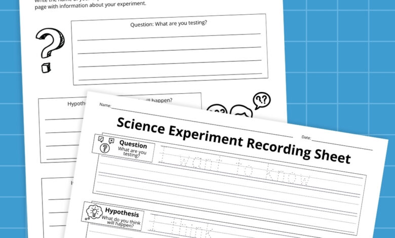 30 Creative Plant Cell Project Ideas To Try This Year