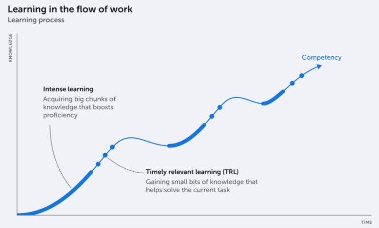 Learning In The Flow Of Work: A Guide For Managers