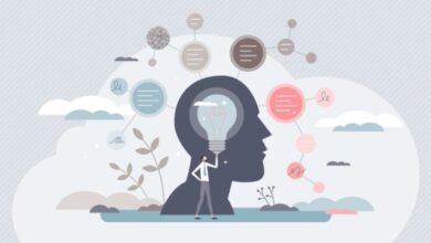 Learning That Sticks: Designing Transformative Experiences