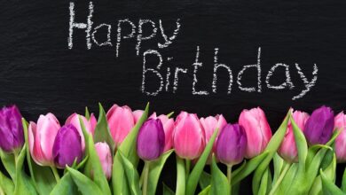 It’s The Nineteenth-Year Anniversary Of This Blog!