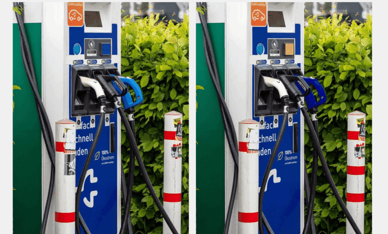 “Spot Different” Could Come In Very Handy For ELL Teachers